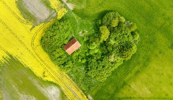 Rezos de Prosperidad: Descubre el Poder de la Fe para Atraer Abundancia a Tu Vida 2025