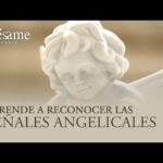 Señales de que un ángel quiere comunicarse contigo: Cómo reconocer su presencia