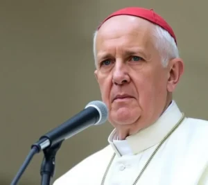 La sorprendente declaración del Cardenal Czerny que podría cambiar el futuro del papado en África 2025 La sorprendente declaración del Cardenal Czerny que podría cambiar el futuro del papado en África 2025