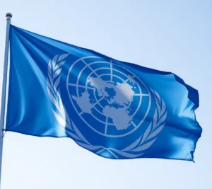 Un experto sorprende al afirmar que la ONU se está convirtiendo en parte del problema en la resolución de conflictos 2025 Un experto sorprende al afirmar que la ONU se está convirtiendo en parte del problema en la resolución de conflictos 2025